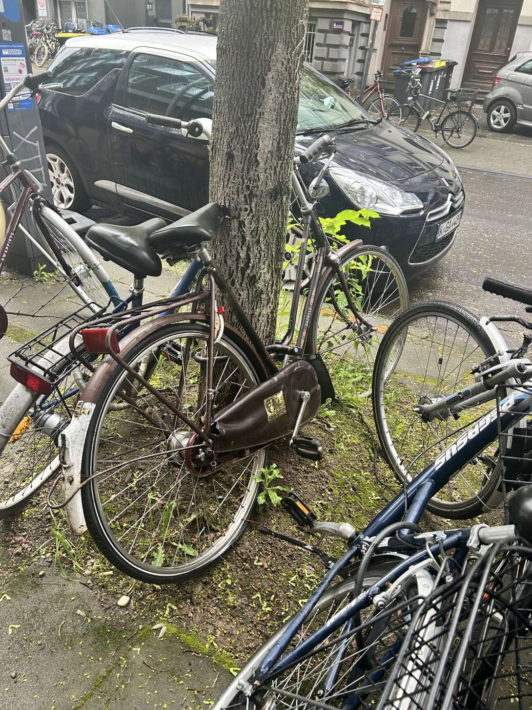 Bild zu gemeldetem Anliegen vom *2024-04-18 14:31:44