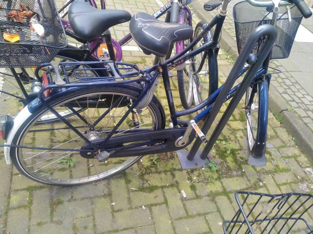 Bild zu gemeldetem Anliegen vom *2024-04-15 08:18:25