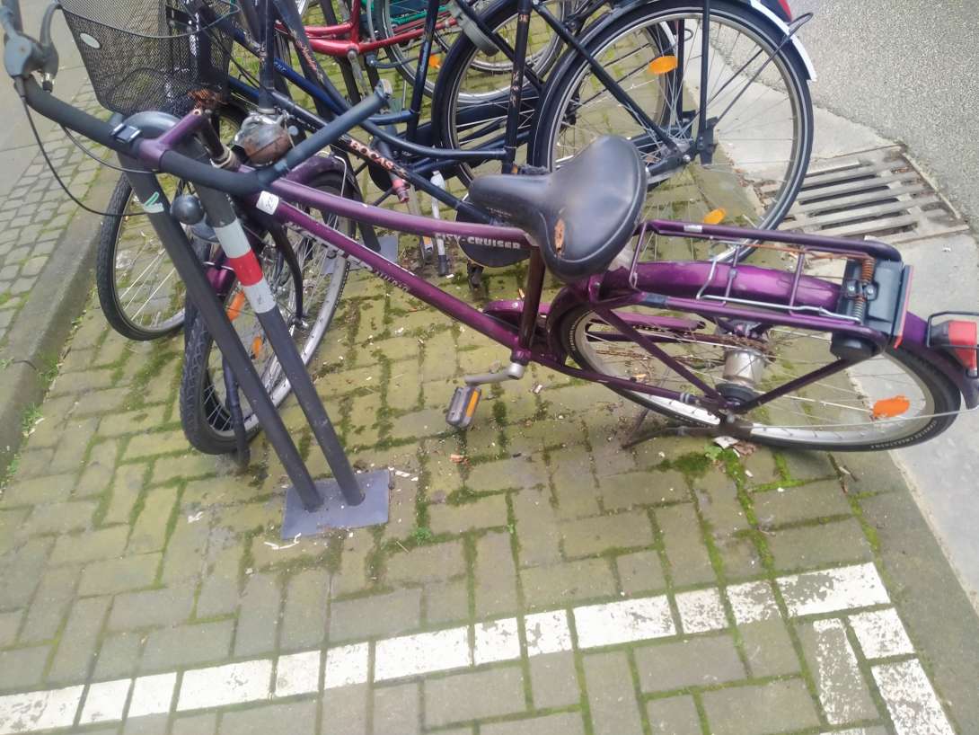 Bild zu gemeldetem Anliegen vom *2024-04-15 08:17:23