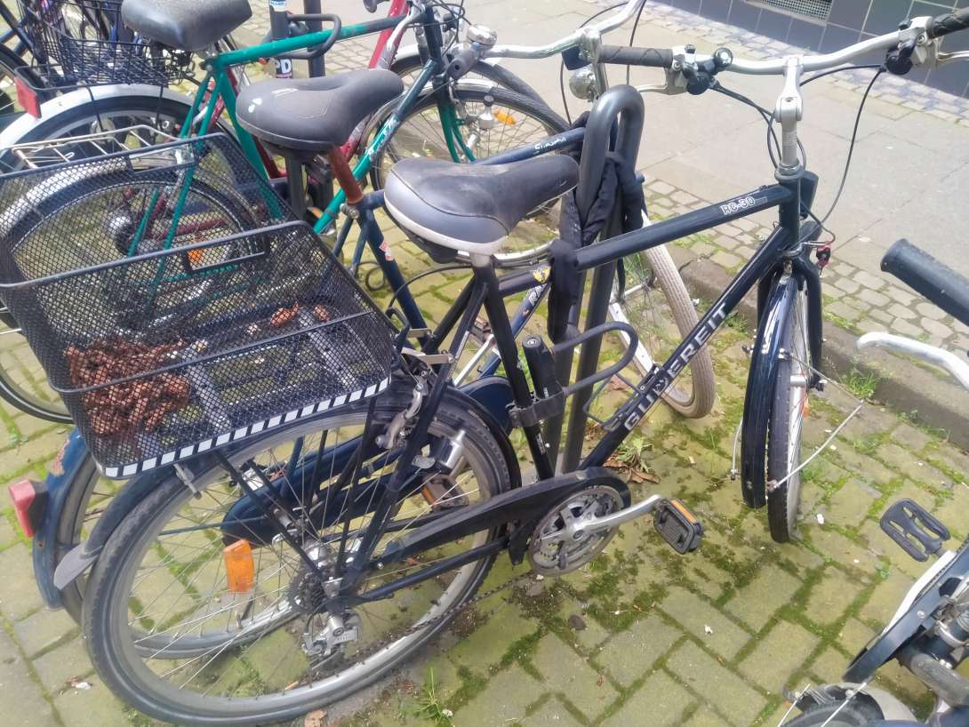 Bild zu gemeldetem Anliegen vom *2024-04-15 08:16:44