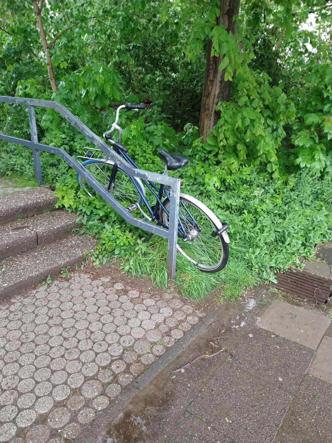 Bild zu gemeldetem Anliegen vom *2024-04-17 06:11:39