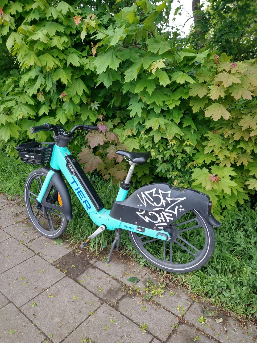 Bild zu gemeldetem Anliegen vom *2024-04-26 06:10:59