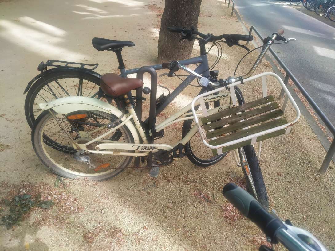 Bild zu gemeldetem Anliegen vom *2024-04-30 08:49:11