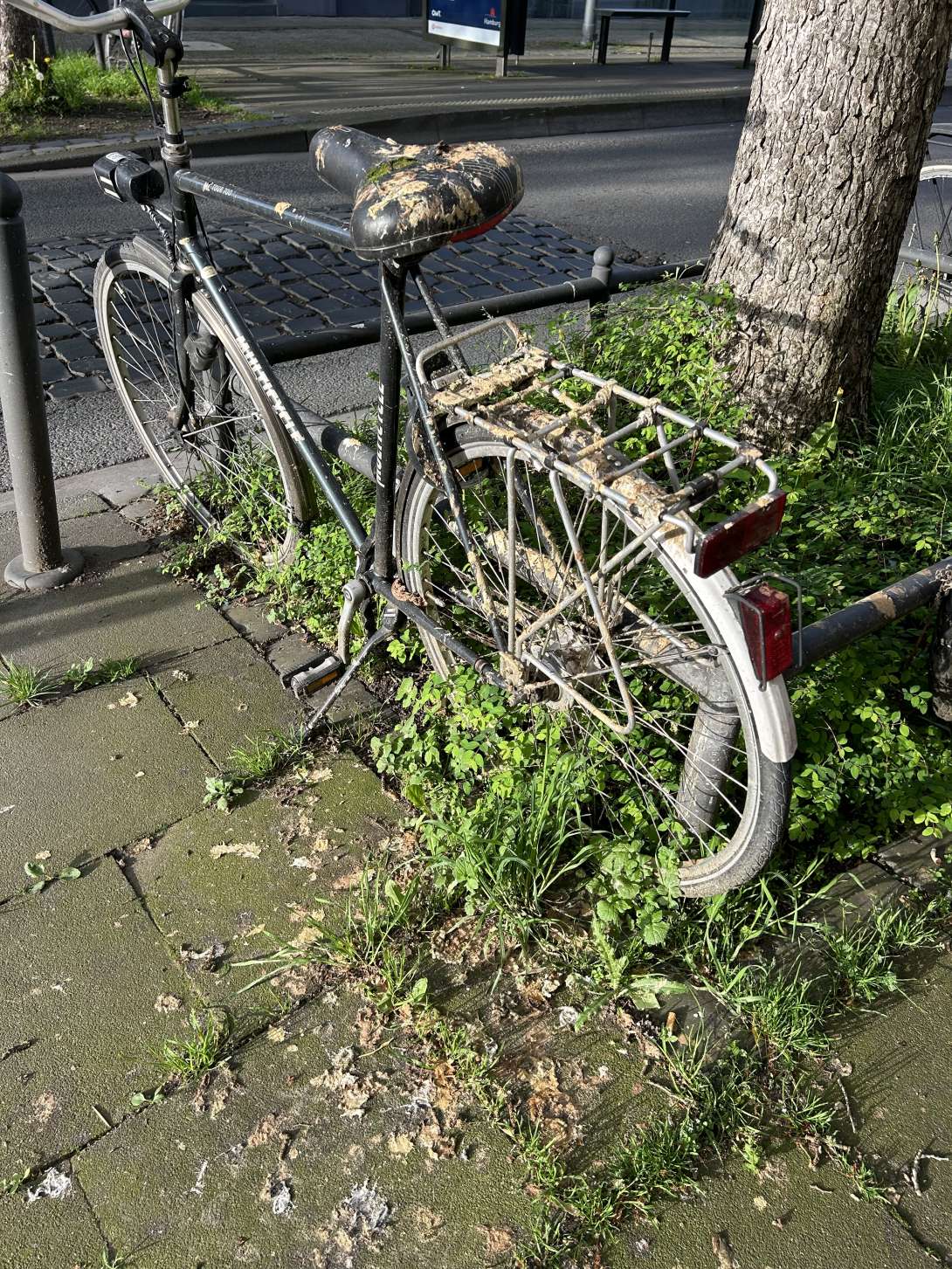 Bild zu gemeldetem Anliegen vom *2024-04-11 10:18:05