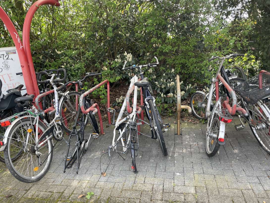 Bild zu gemeldetem Anliegen vom *2024-04-11 16:36:50