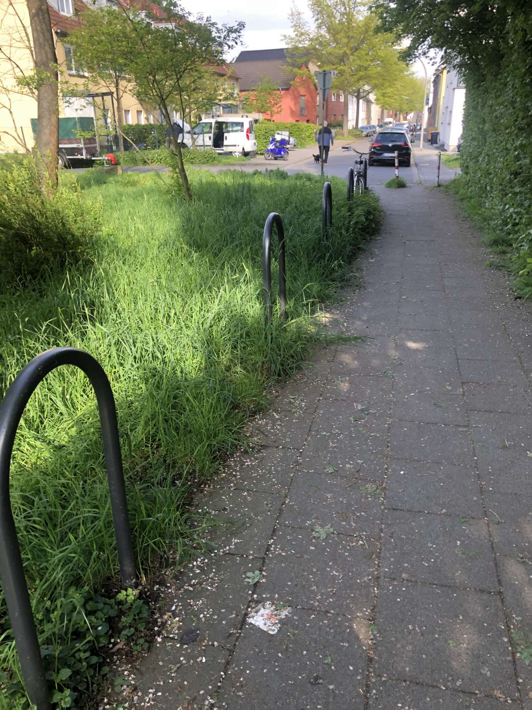 Bild zu gemeldetem Anliegen vom *2024-04-22 19:50:51