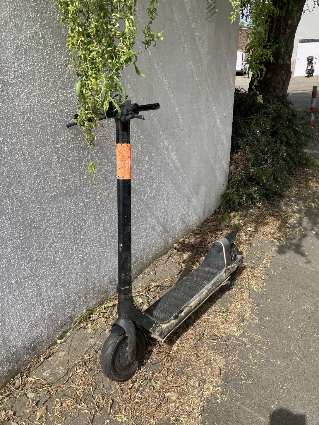 Bild zu gemeldetem Anliegen vom *2024-04-30 13:19:32