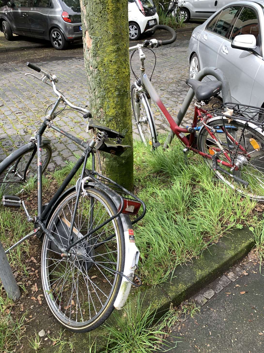 Bild zu gemeldetem Anliegen vom *2024-04-18 14:23:36