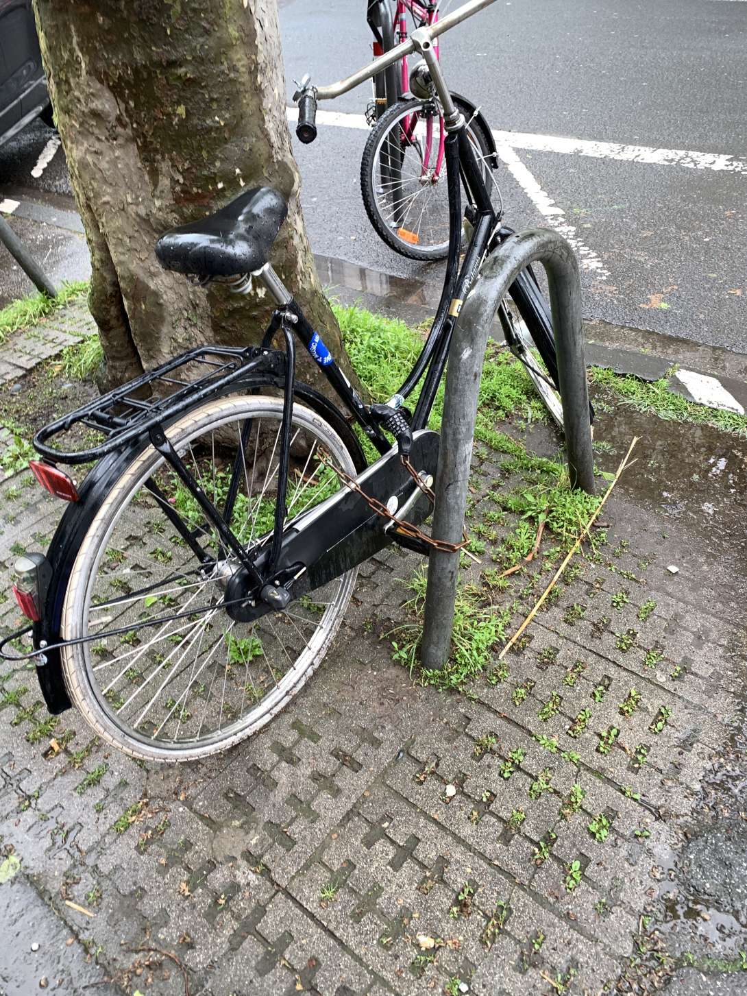 Bild zu gemeldetem Anliegen vom *2024-04-19 10:57:37