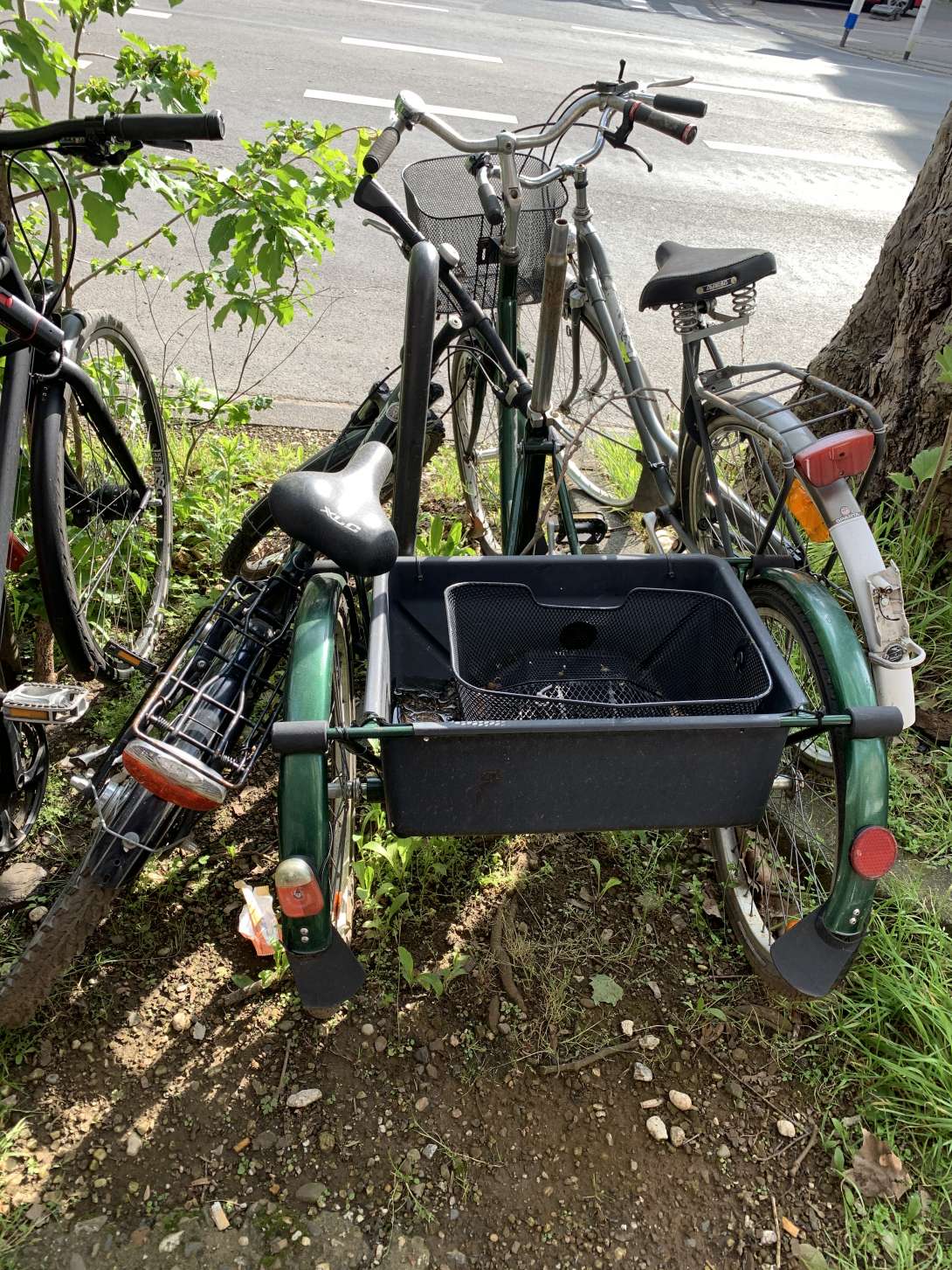 Bild zu gemeldetem Anliegen vom *2024-04-23 12:15:11