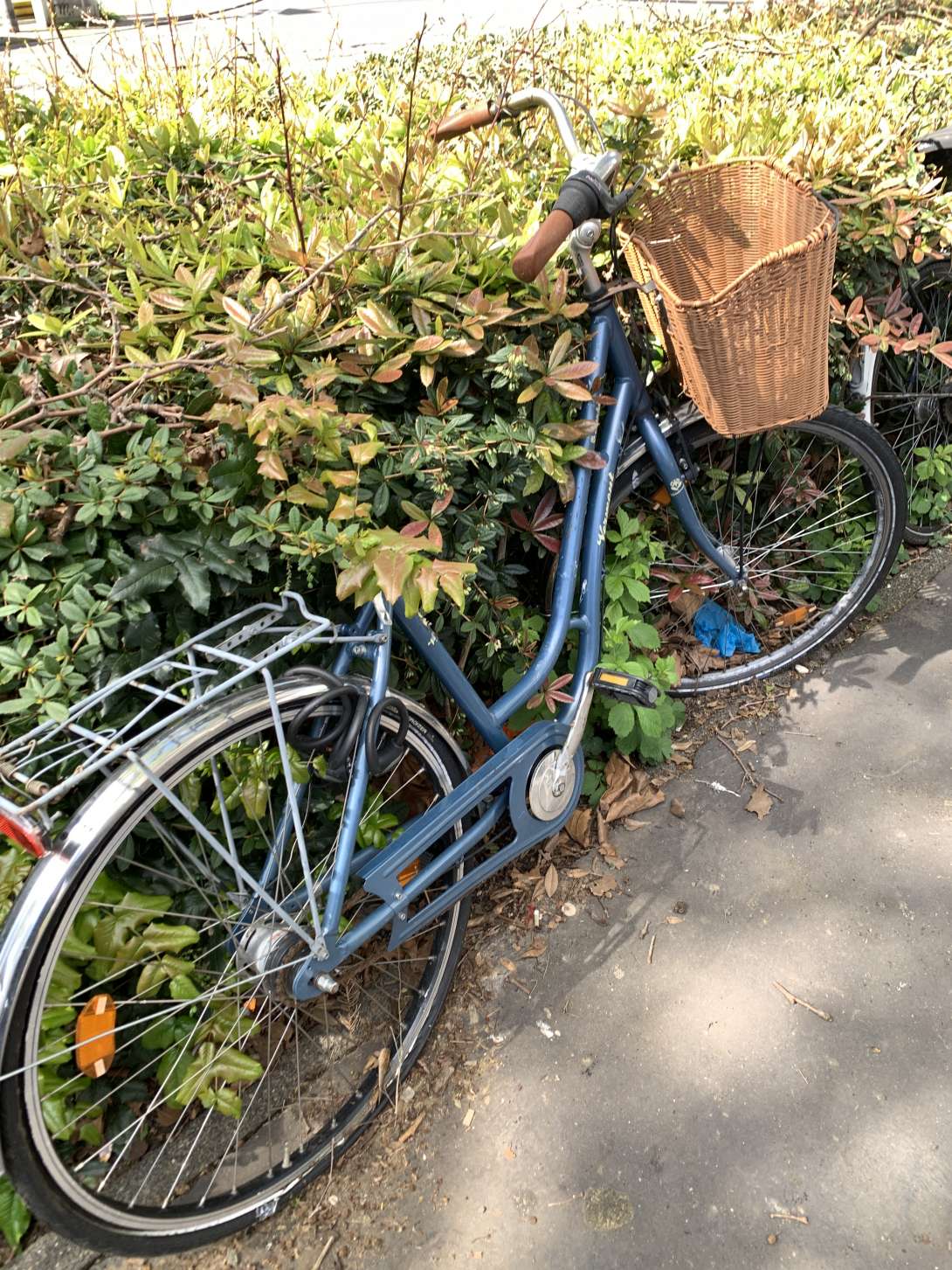 Bild zu gemeldetem Anliegen vom *2024-04-23 12:35:02