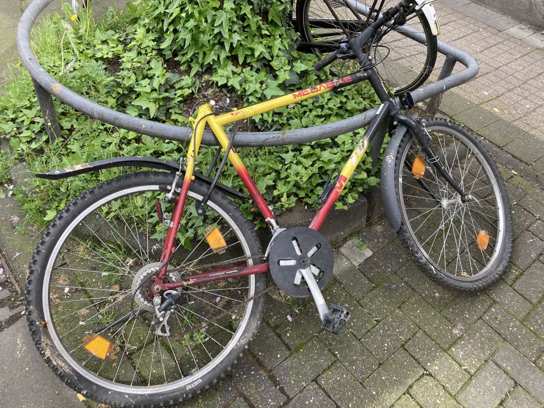 Bild zu gemeldetem Anliegen vom *2024-04-11 08:05:15