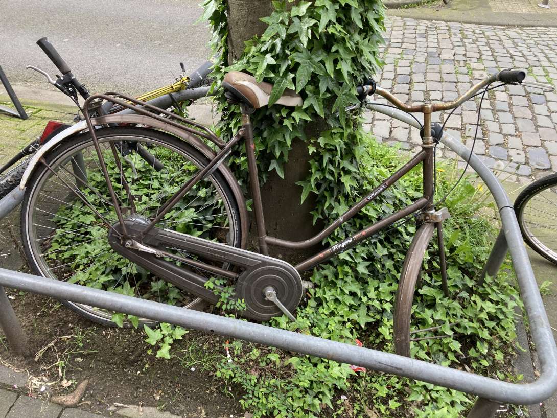 Bild zu gemeldetem Anliegen vom *2024-04-11 08:03:30