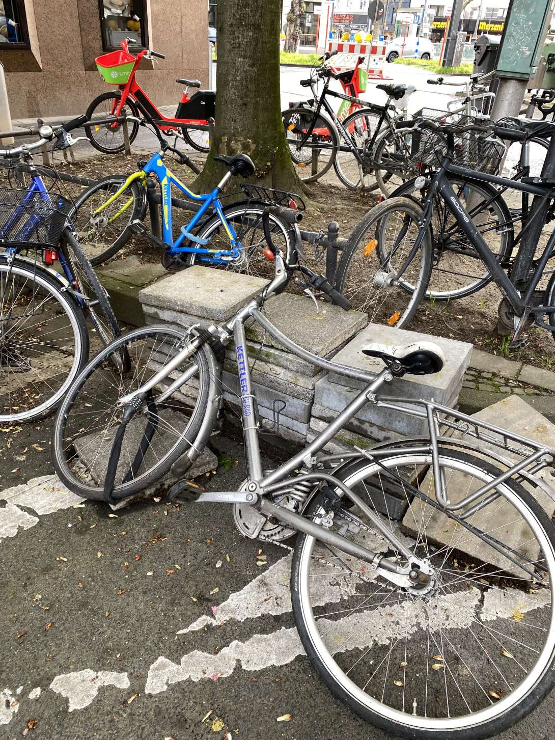 Bild zu gemeldetem Anliegen vom *2024-04-16 13:55:34