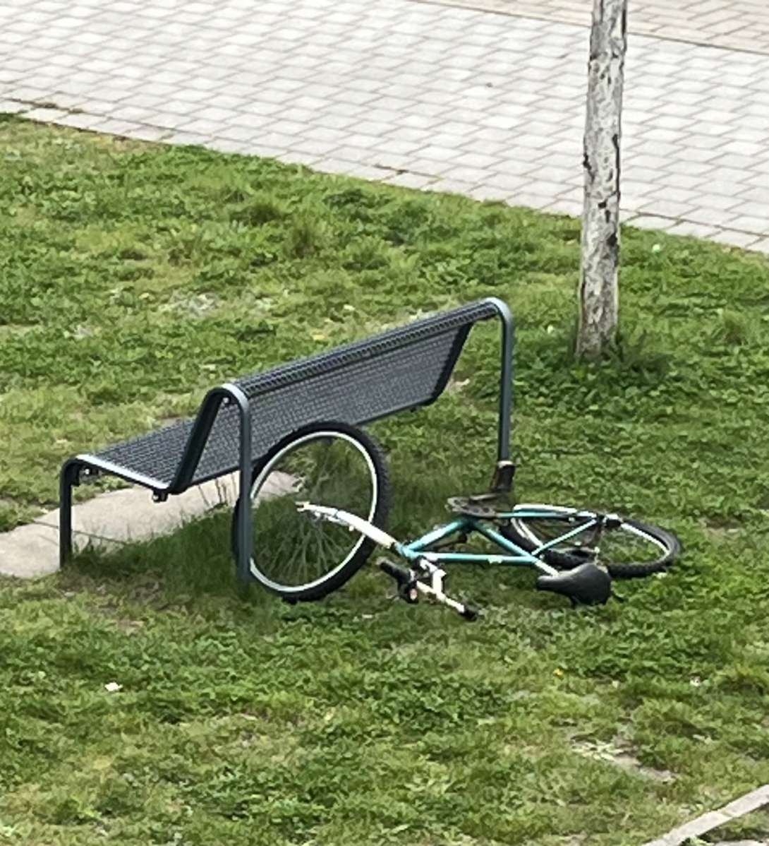 Bild zu gemeldetem Anliegen vom *2024-04-24 18:30:43