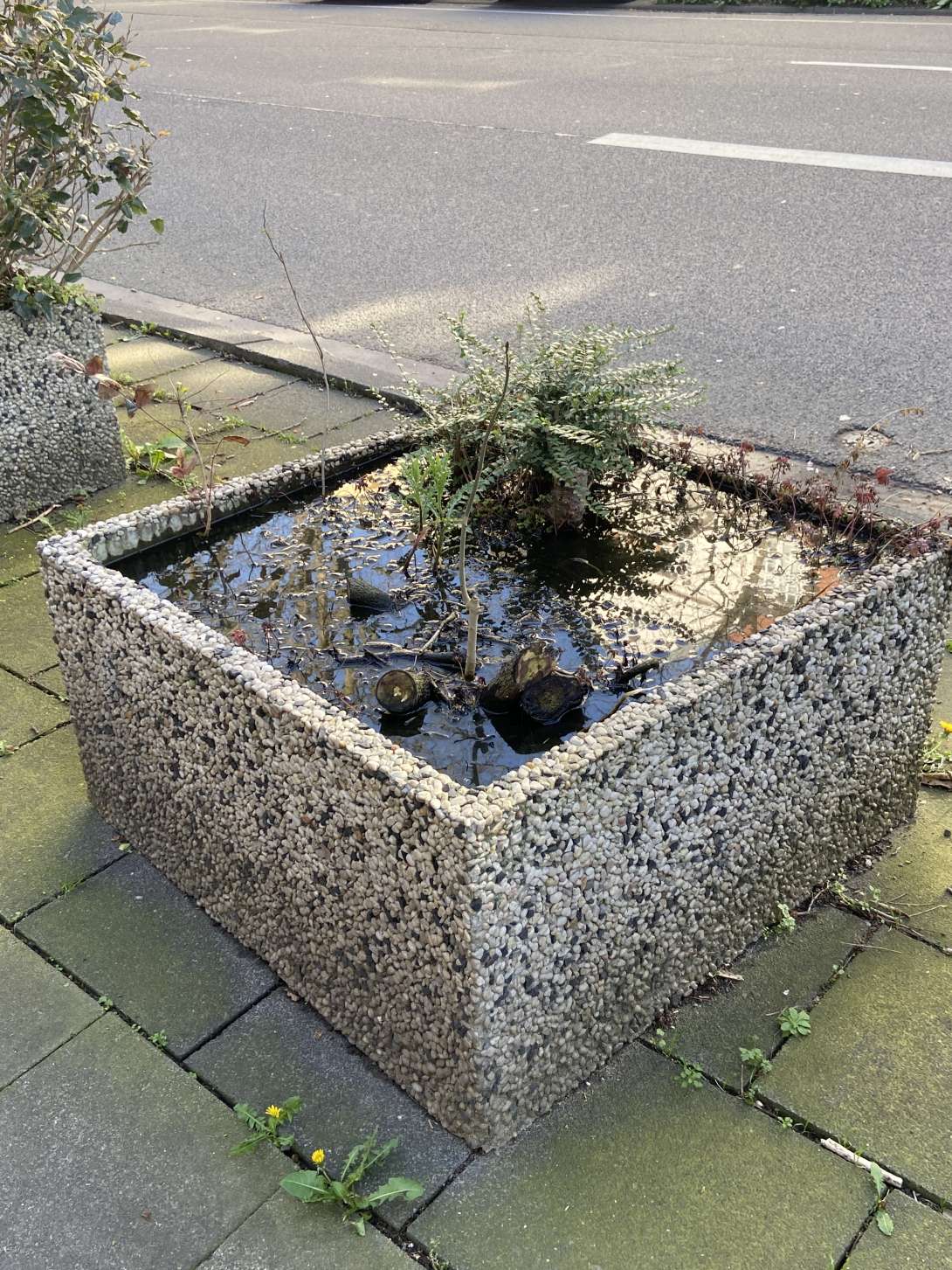 Bild zu gemeldetem Anliegen vom *2024-04-06 09:54:36