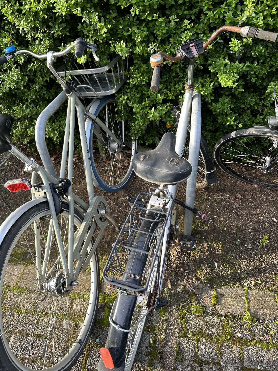 Bild zu gemeldetem Anliegen vom *2024-04-09 07:03:38