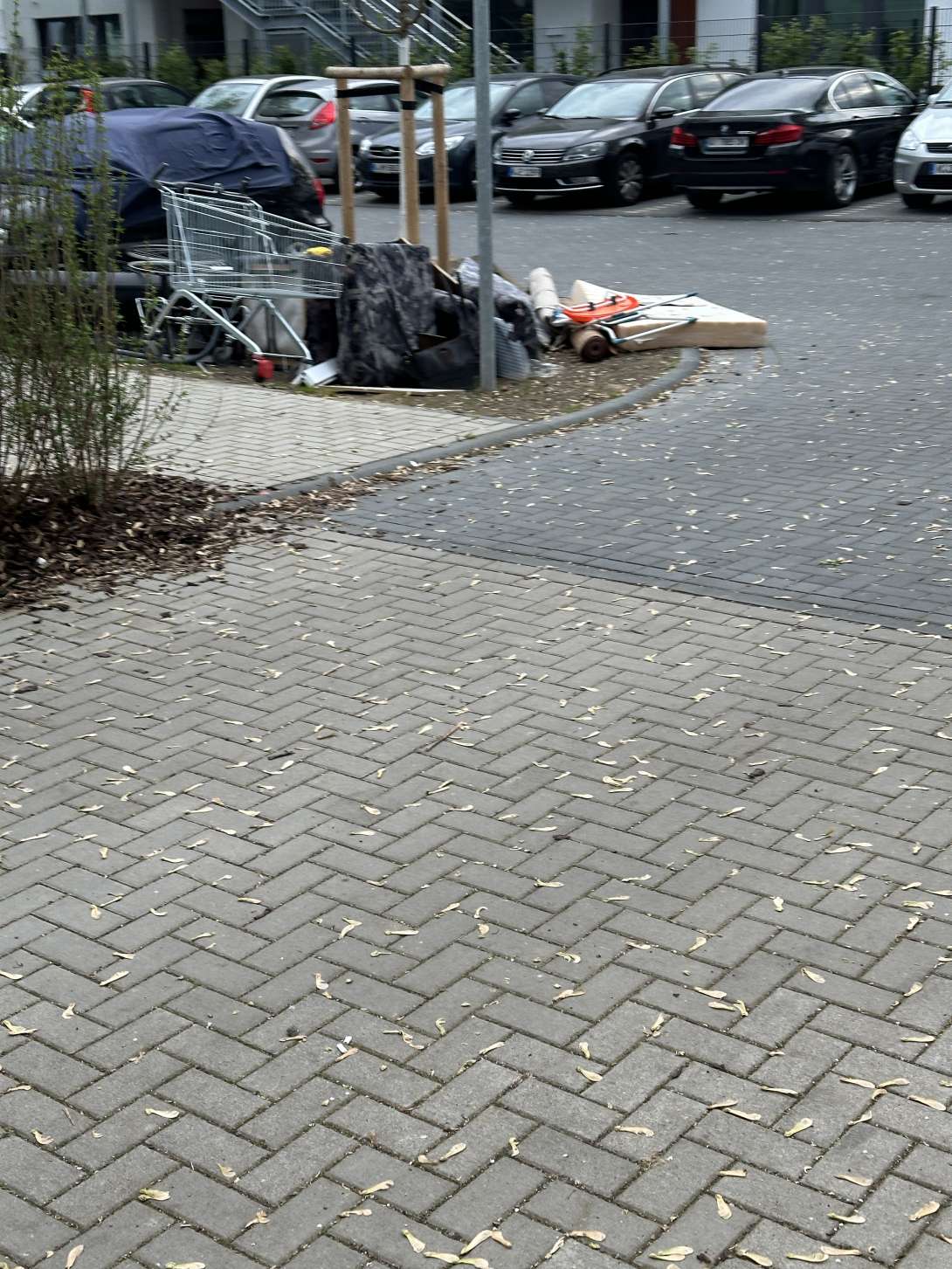Bild zu gemeldetem Anliegen vom *2024-04-30 09:10:55