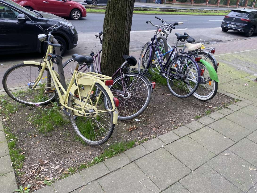 Bild zu gemeldetem Anliegen vom *2024-04-07 11:16:13