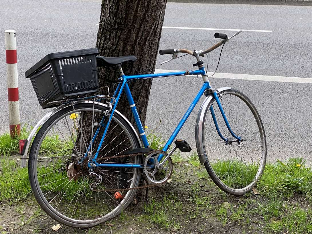 Bild zu gemeldetem Anliegen vom *2024-04-08 06:11:56