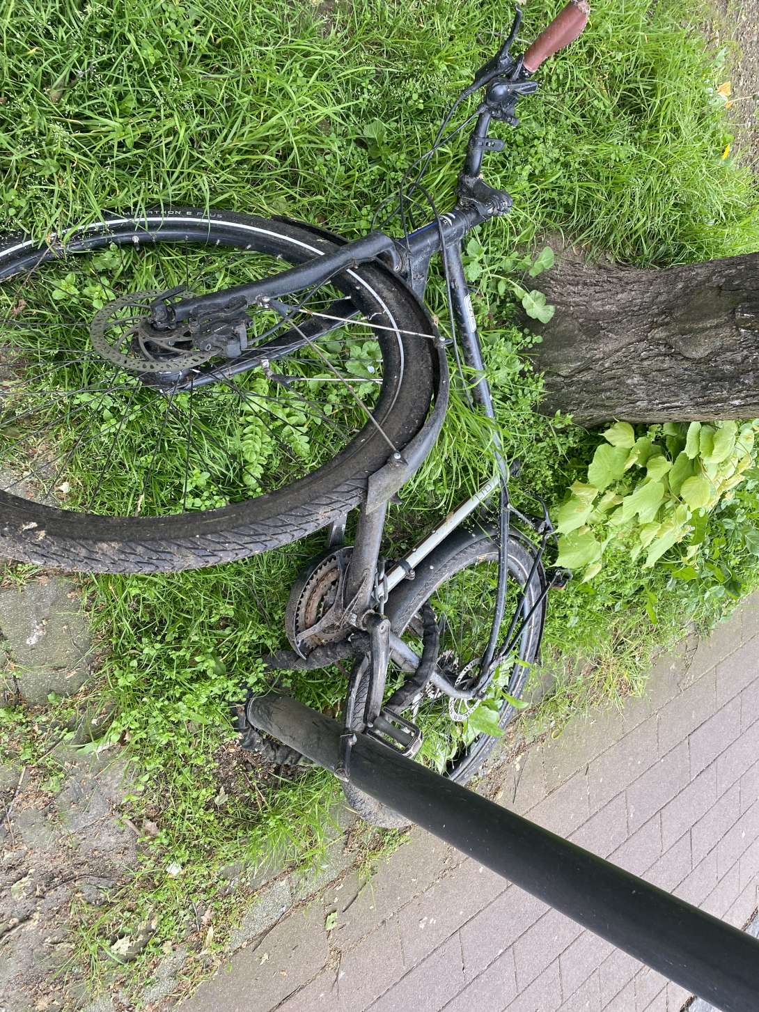 Bild zu gemeldetem Anliegen vom *2024-04-29 22:03:27