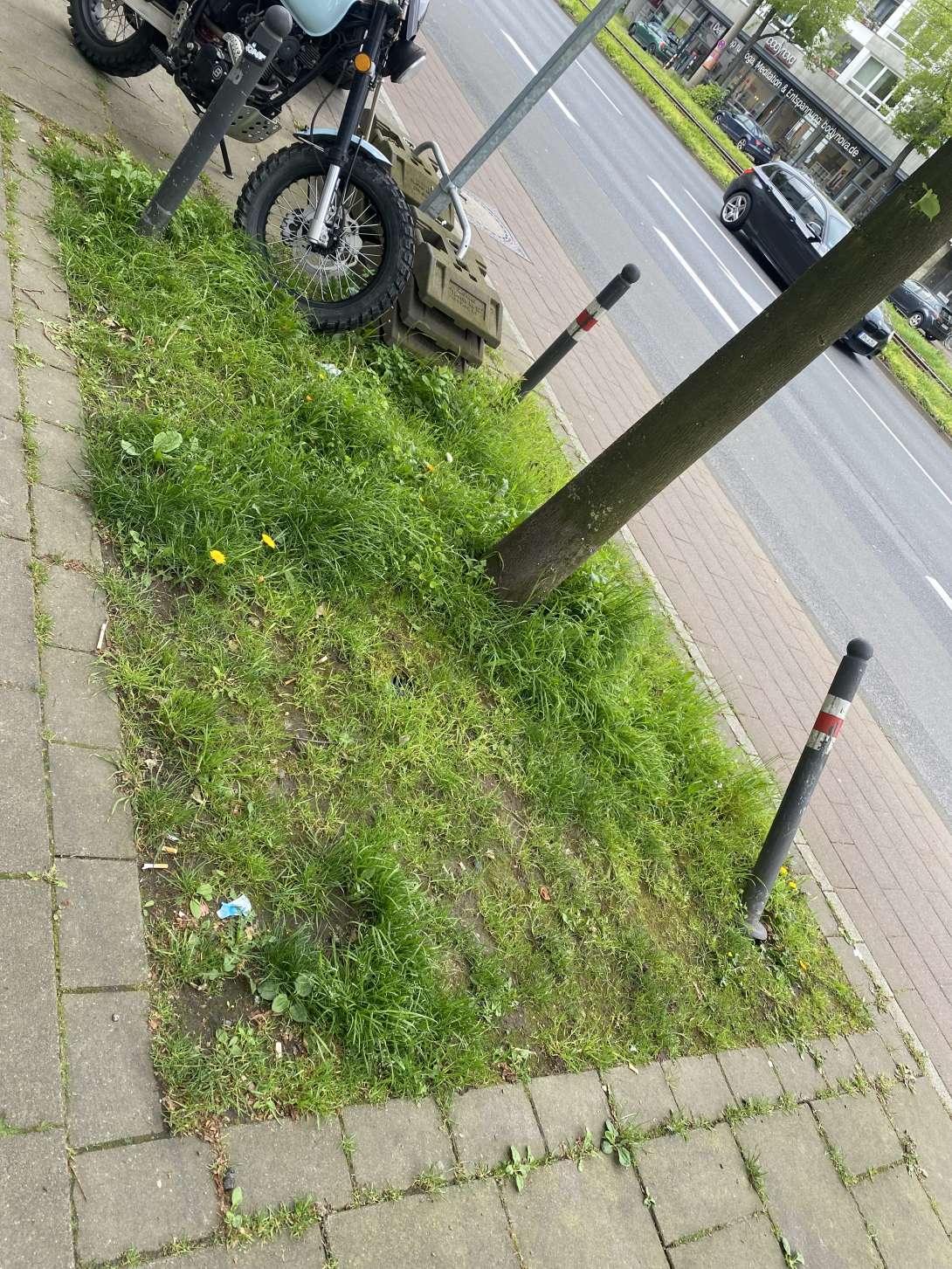 Bild zu gemeldetem Anliegen vom *2024-04-26 15:45:50
