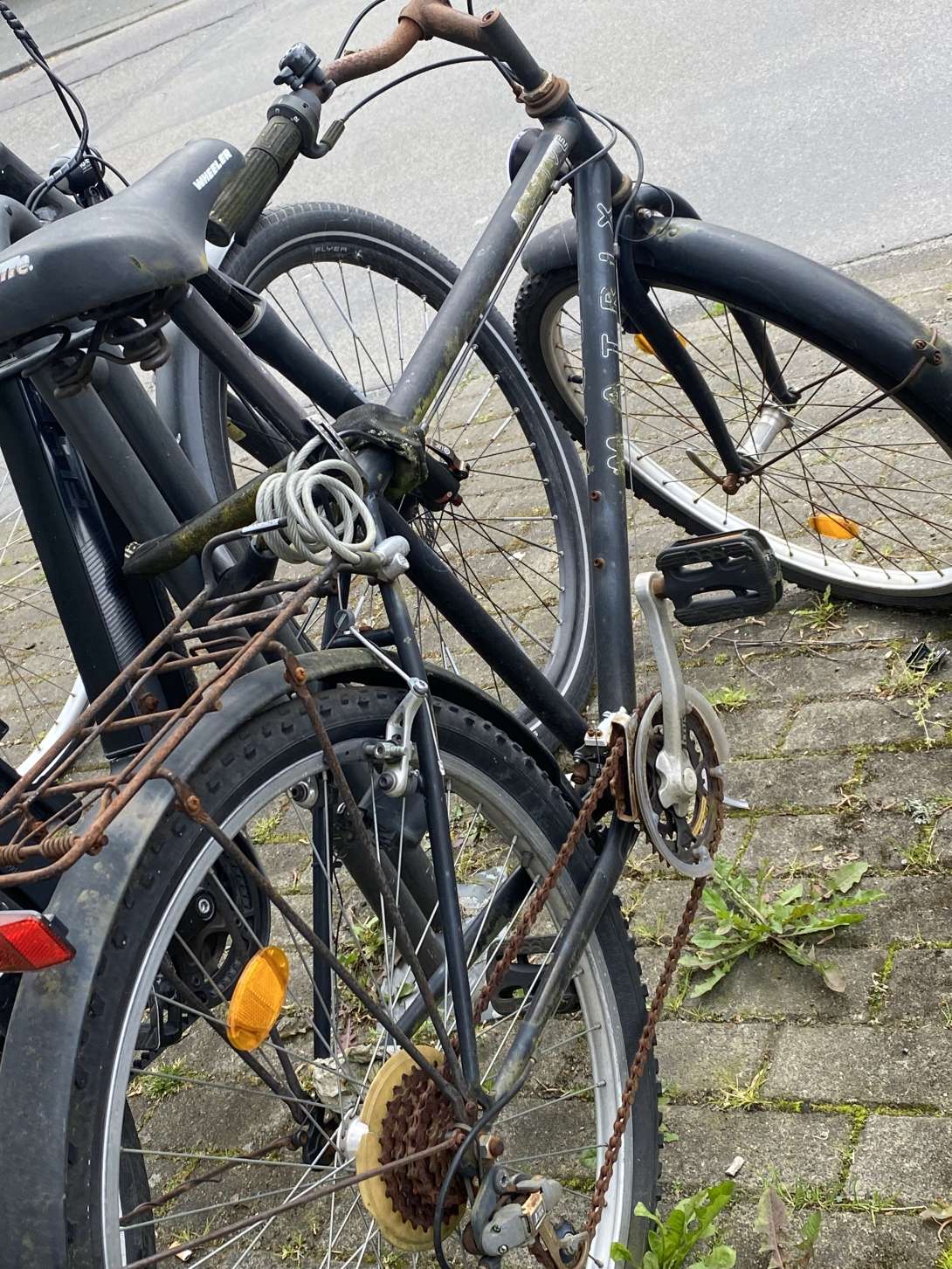 Bild zu gemeldetem Anliegen vom *2024-04-29 21:54:33