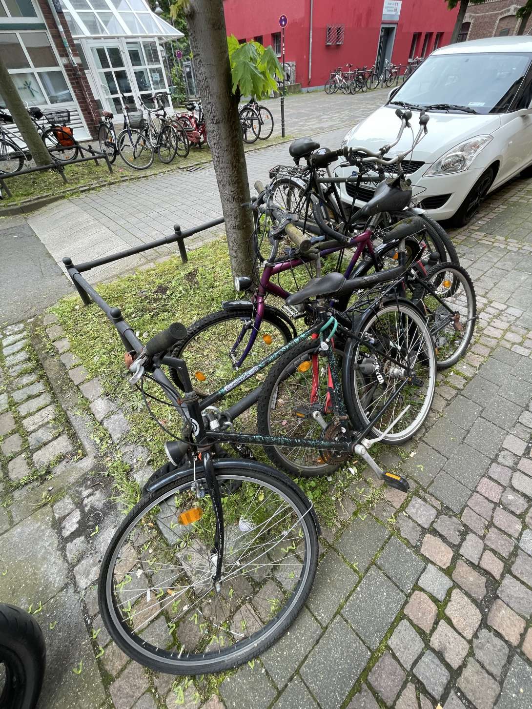 Bild zu gemeldetem Anliegen vom *2024-04-30 09:33:03