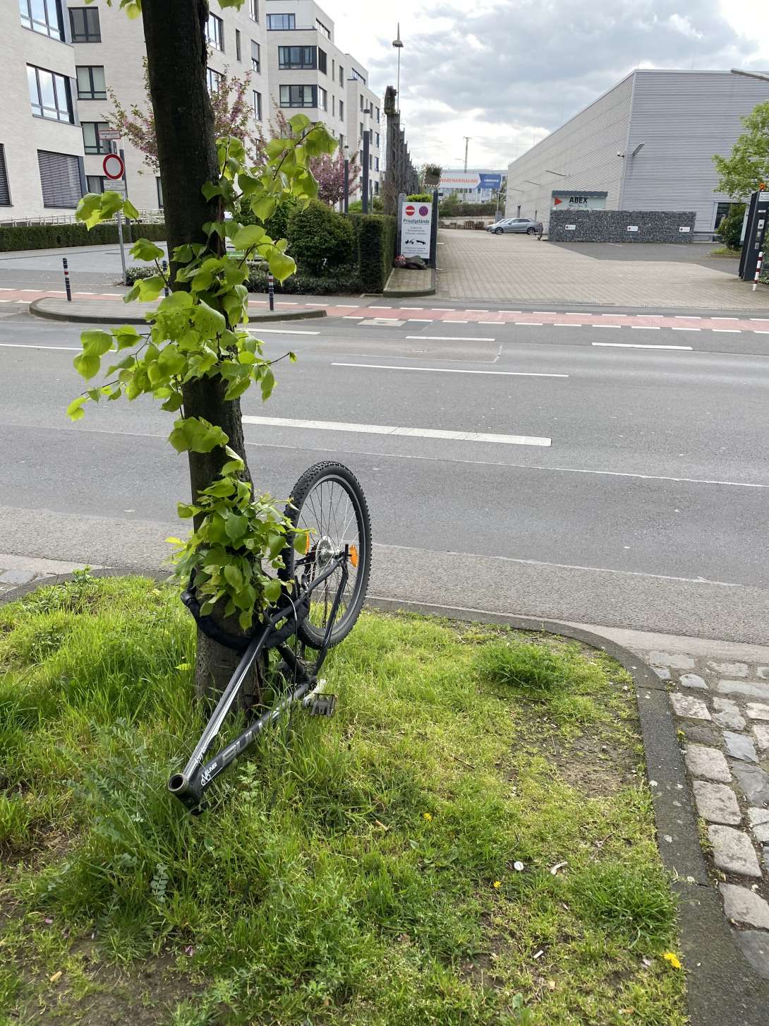 Bild zu gemeldetem Anliegen vom *2024-04-15 09:14:55