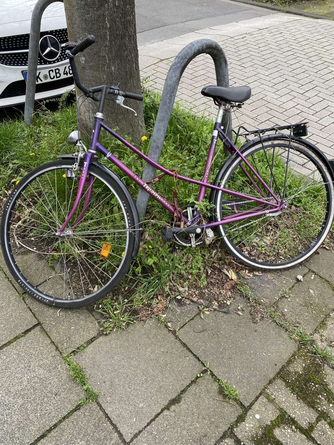 Bild zu gemeldetem Anliegen vom *2024-04-08 08:27:42