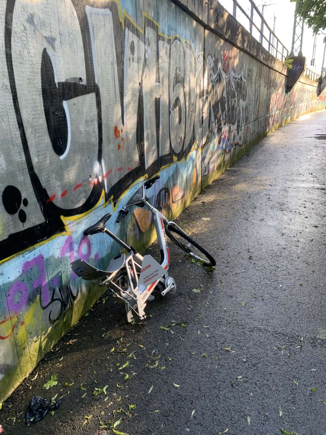 Bild zu gemeldetem Anliegen vom *2024-04-22 07:43:16