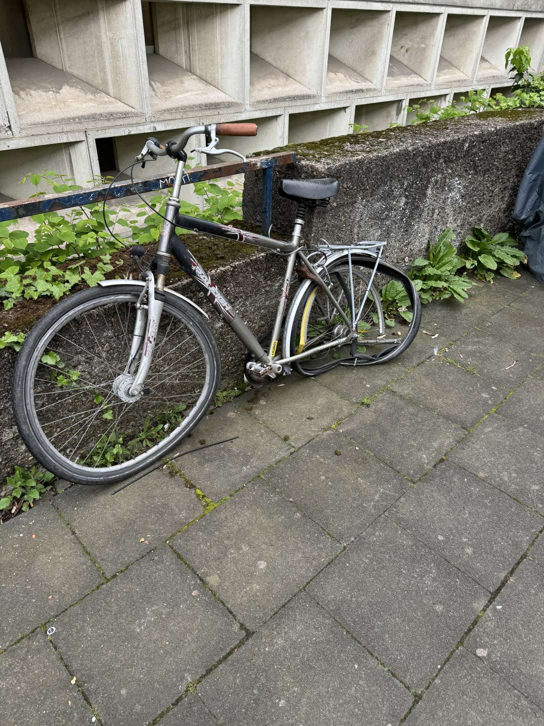 Bild zu gemeldetem Anliegen vom *2024-04-17 09:40:00