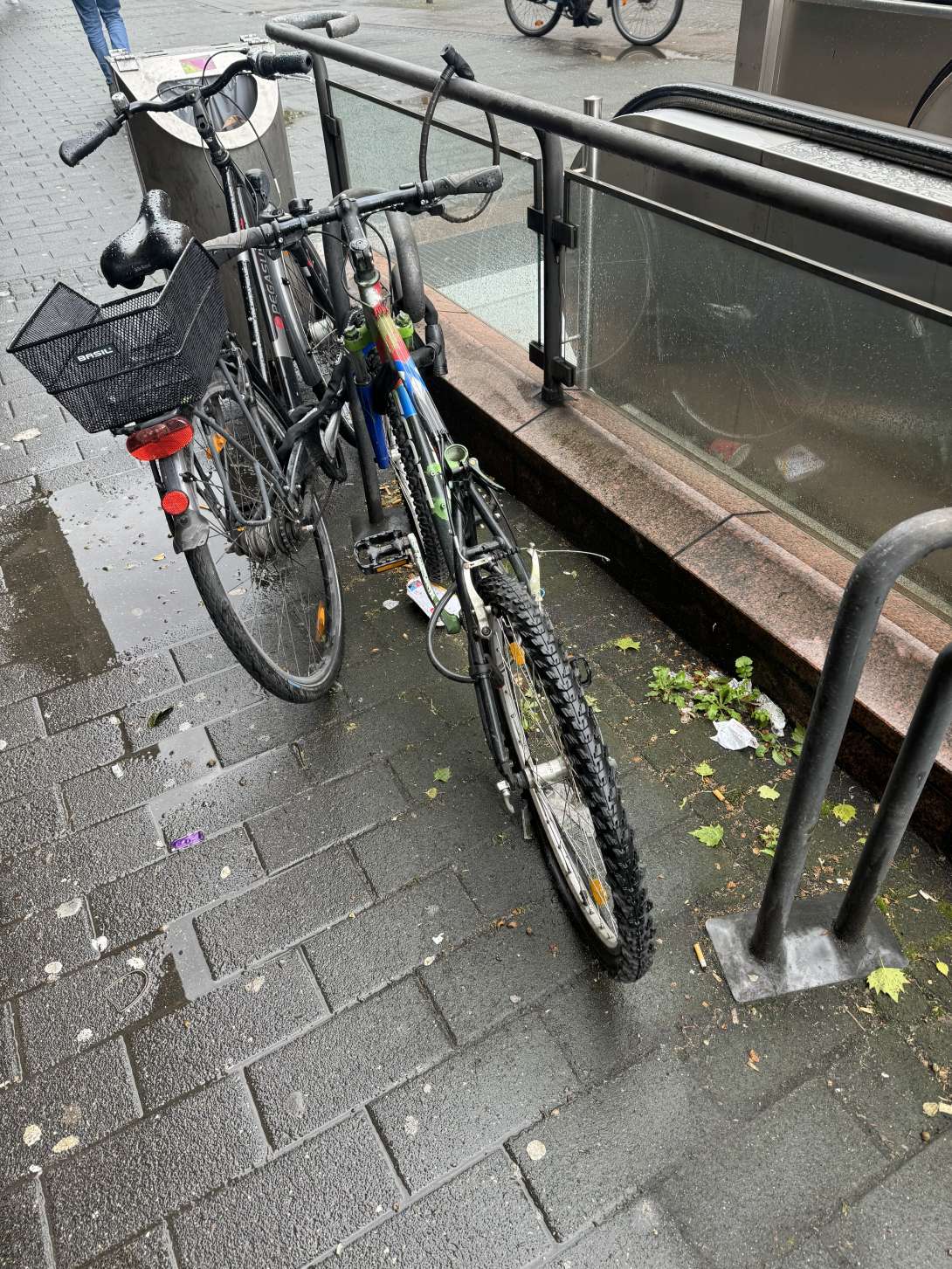 Bild zu gemeldetem Anliegen vom *2024-04-17 06:06:48