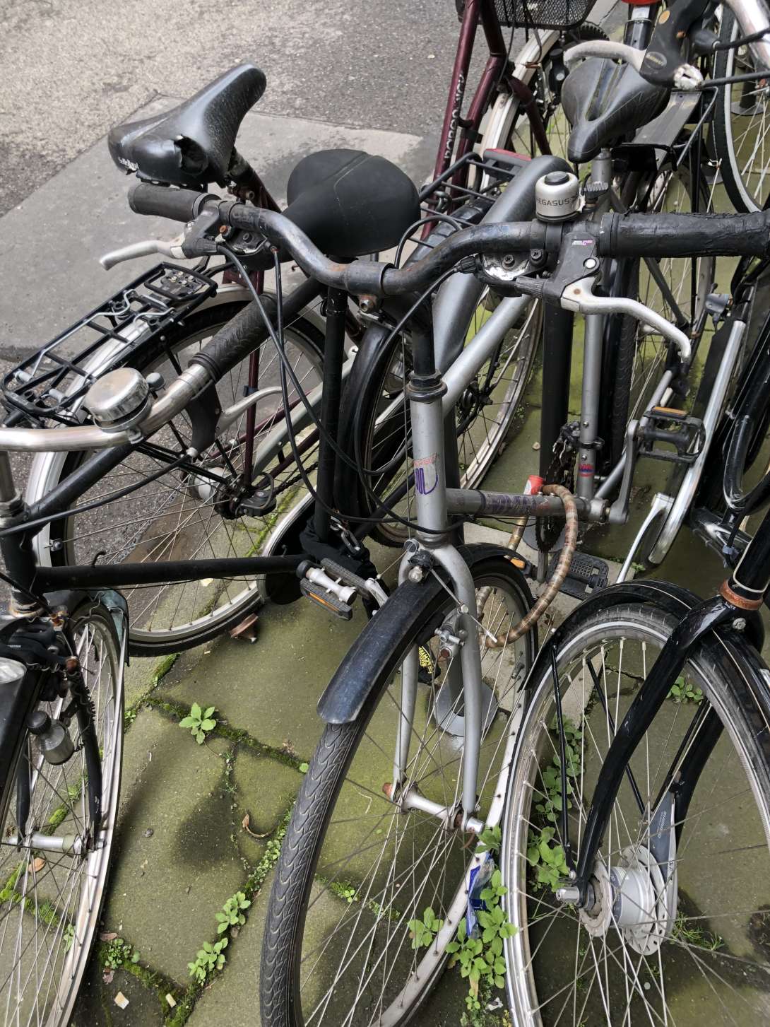 Bild zu gemeldetem Anliegen vom *2024-04-11 12:23:44