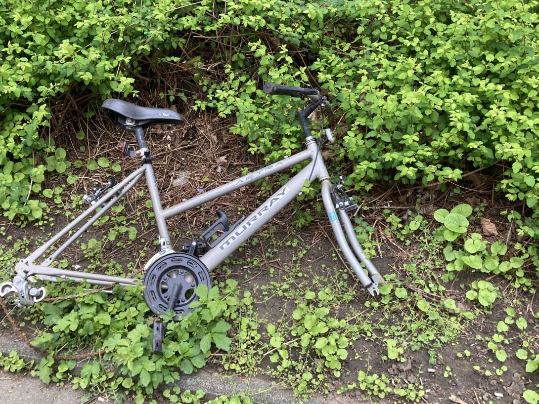 Bild zu gemeldetem Anliegen vom *2024-04-16 07:48:06