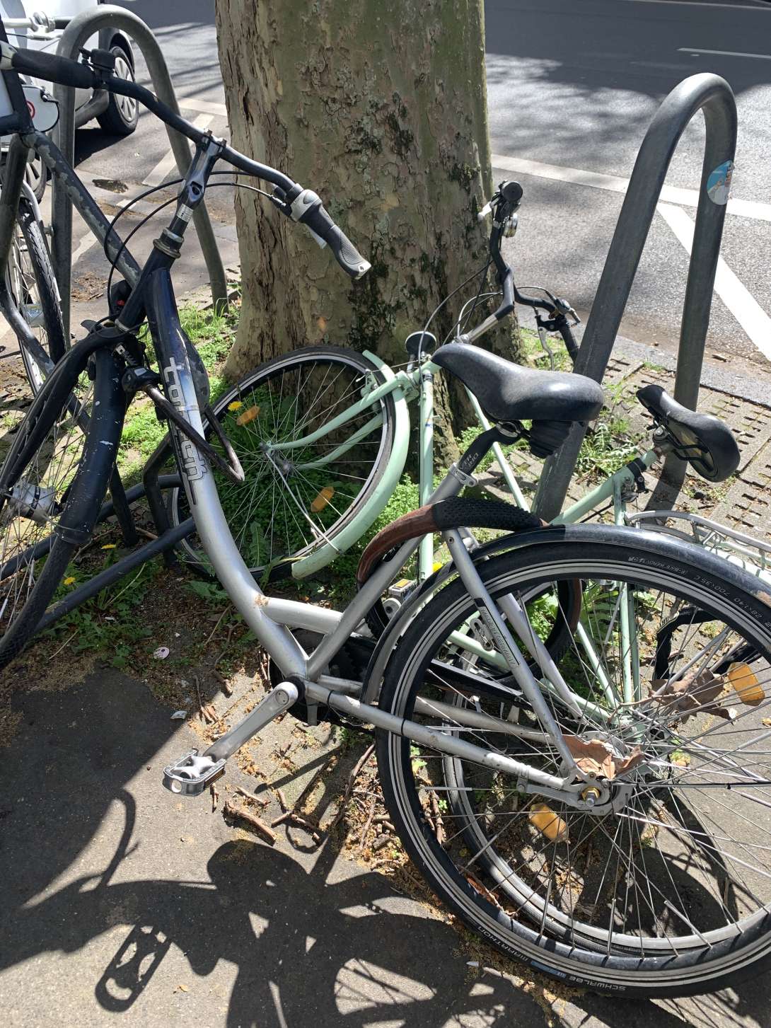 Bild zu gemeldetem Anliegen vom *2024-04-11 13:07:57