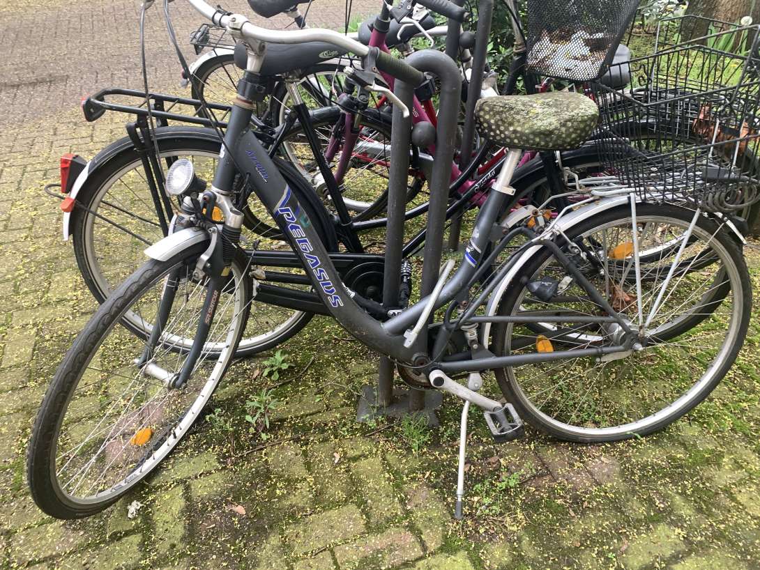 Bild zu gemeldetem Anliegen vom *2024-04-11 09:04:56