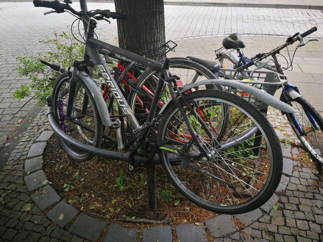 Bild zu gemeldetem Anliegen vom *2024-04-30 09:17:06