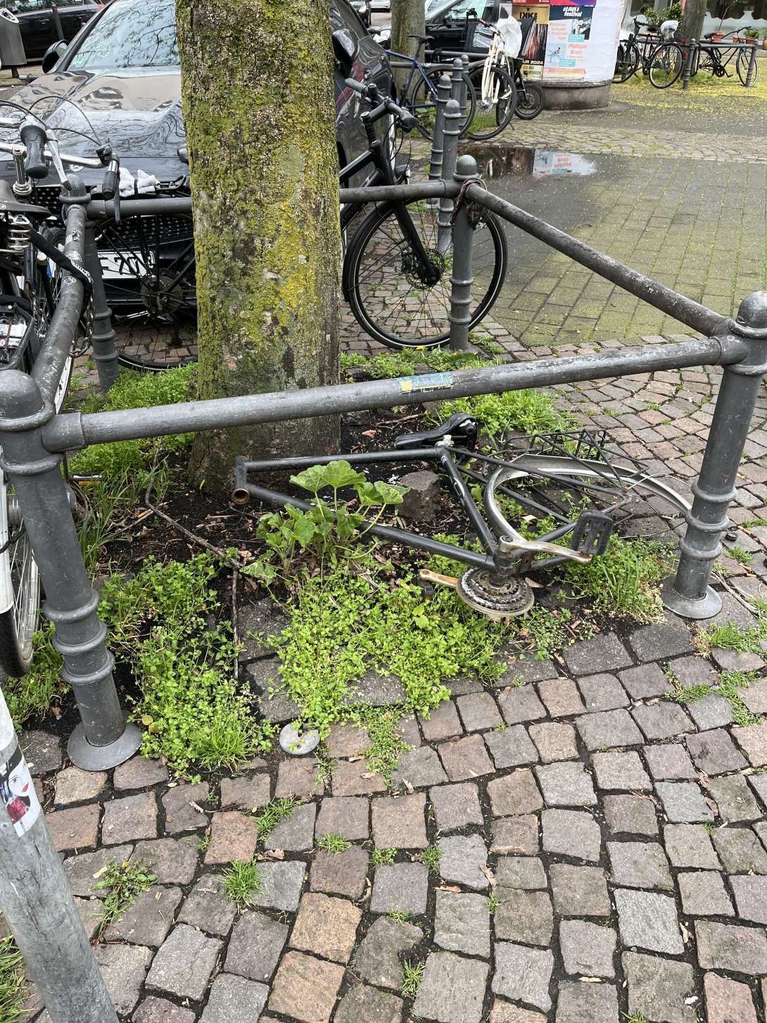 Bild zu gemeldetem Anliegen vom *2024-04-05 18:13:18