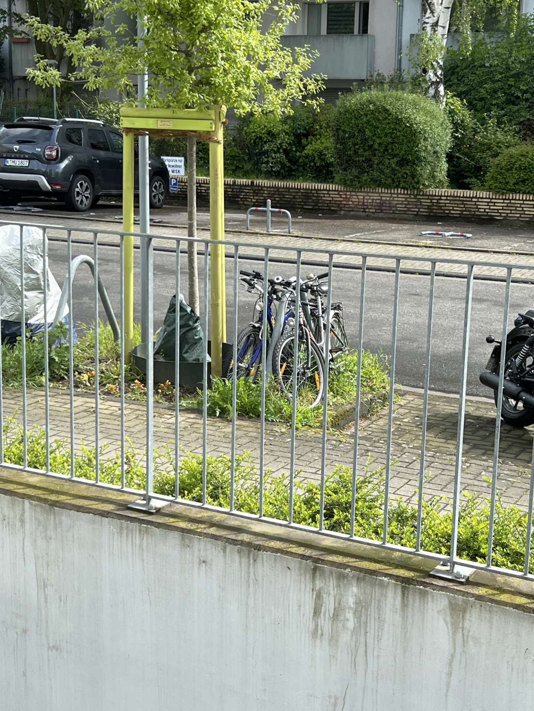 Bild zu gemeldetem Anliegen vom *2024-04-25 11:24:53