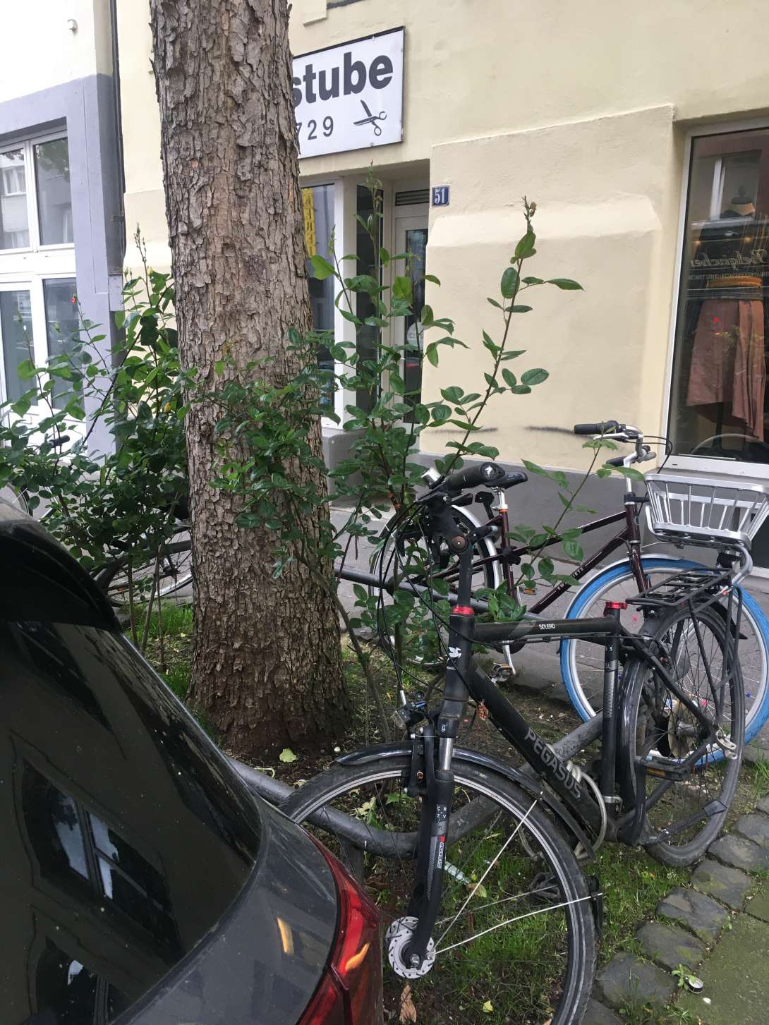 Bild zu gemeldetem Anliegen vom *2024-04-30 15:17:15