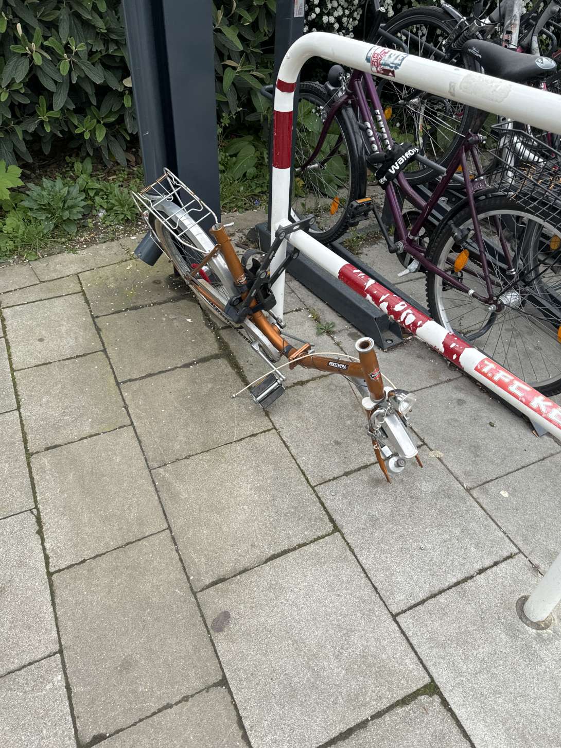 Bild zu gemeldetem Anliegen vom *2024-04-15 14:45:20