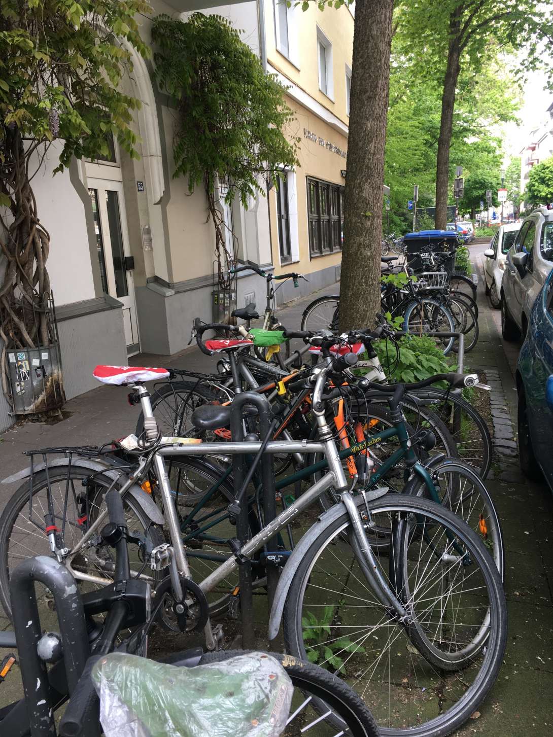 Bild zu gemeldetem Anliegen vom *2024-04-24 07:54:30