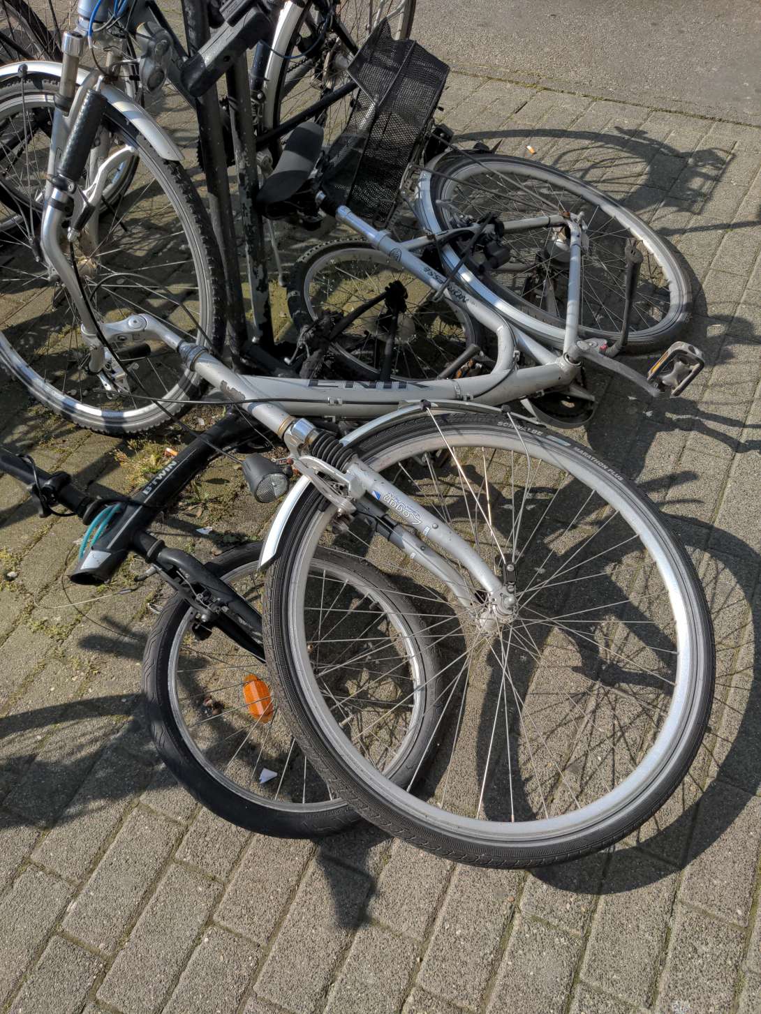 Bild zu gemeldetem Anliegen vom *2024-05-14 06:46:33