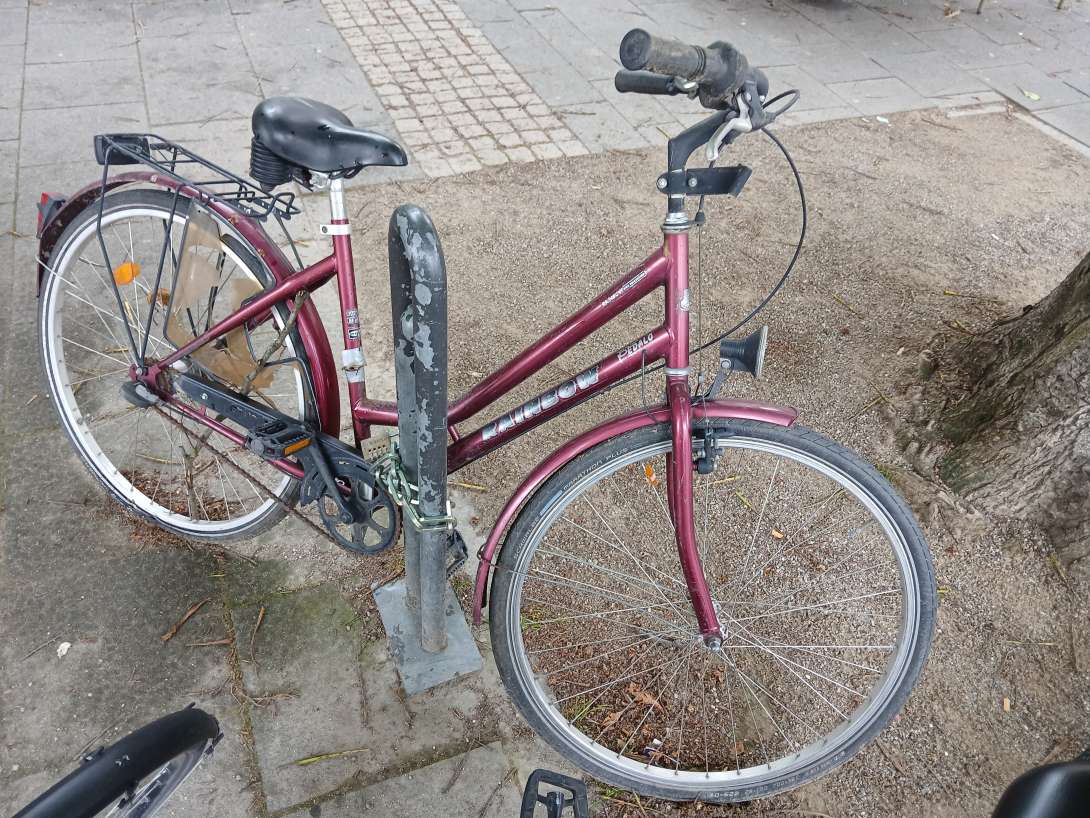 Bild zu gemeldetem Anliegen vom *2024-06-03 13:23:03