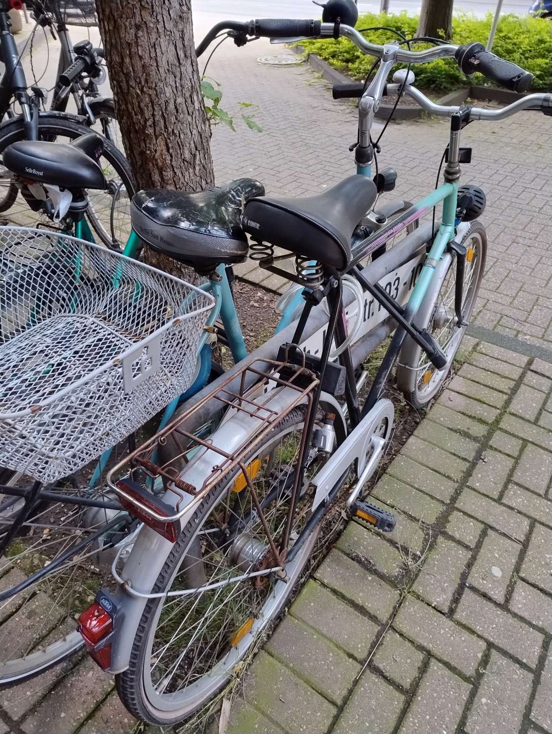 Bild zu gemeldetem Anliegen vom *2024-05-23 17:26:35