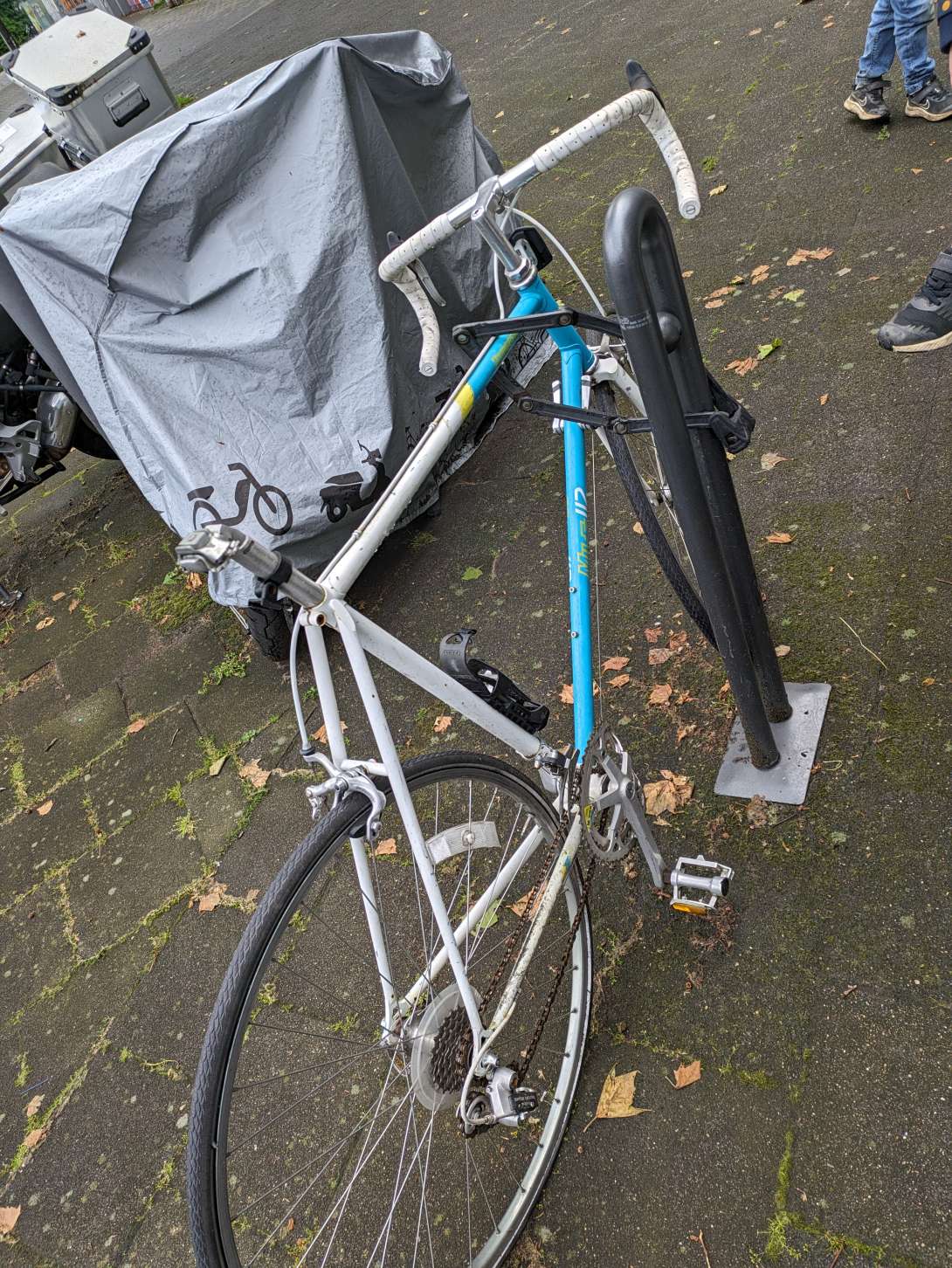 Bild zu gemeldetem Anliegen vom *2024-05-08 17:10:45