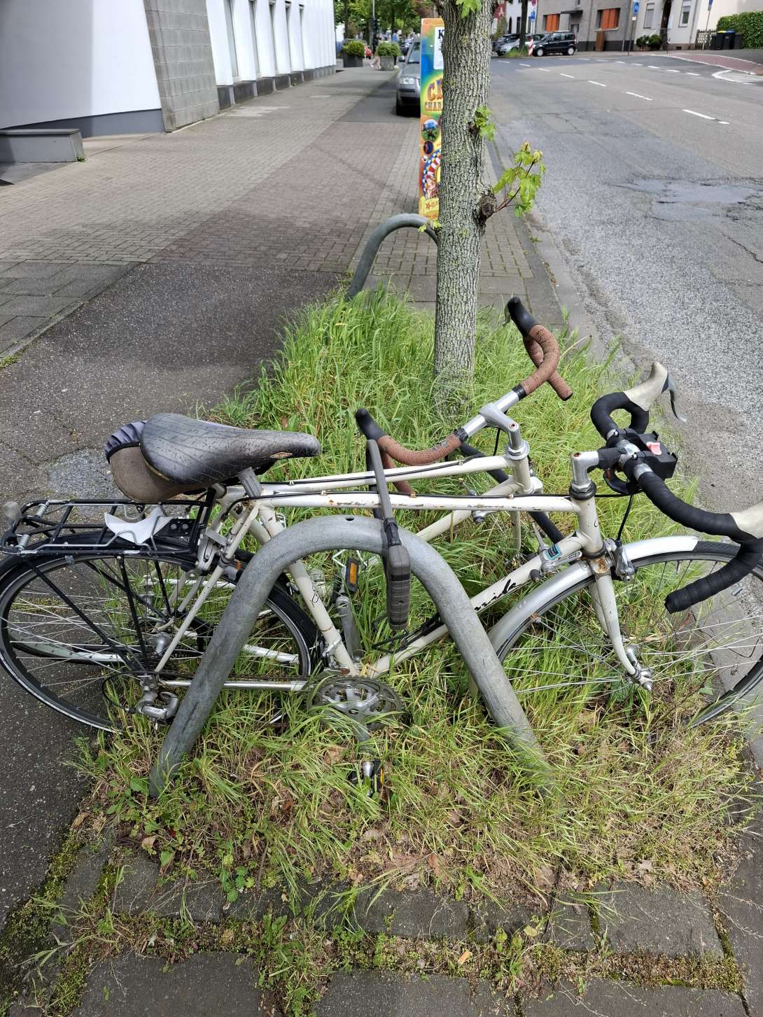 Bild zu gemeldetem Anliegen vom *2024-05-08 09:53:35