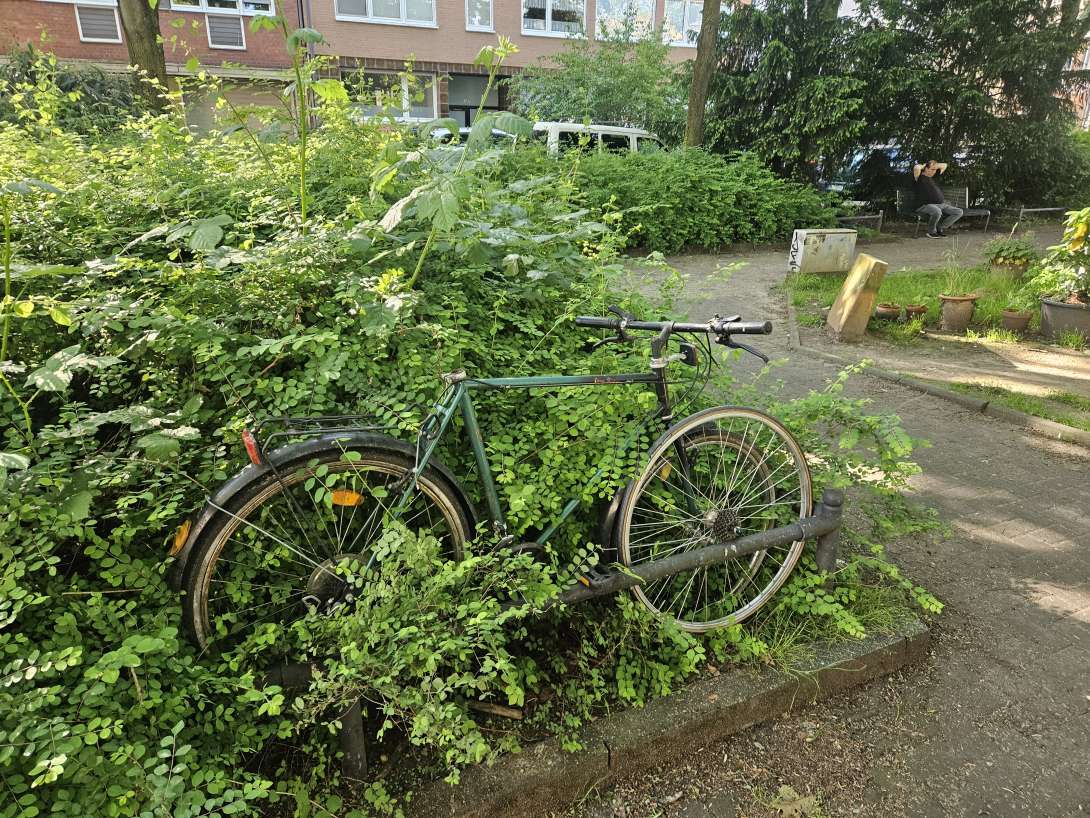 Bild zu gemeldetem Anliegen vom *2024-05-16 07:28:02