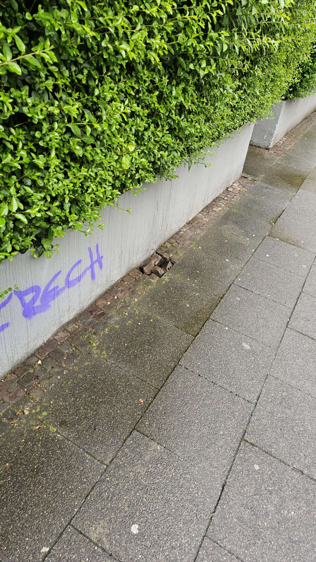 Bild zu gemeldetem Anliegen vom *2024-05-24 10:50:47